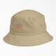 Desert Sand (DS)