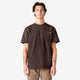 Chocolate Brown (CB)