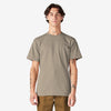 Desert Sand (DS)