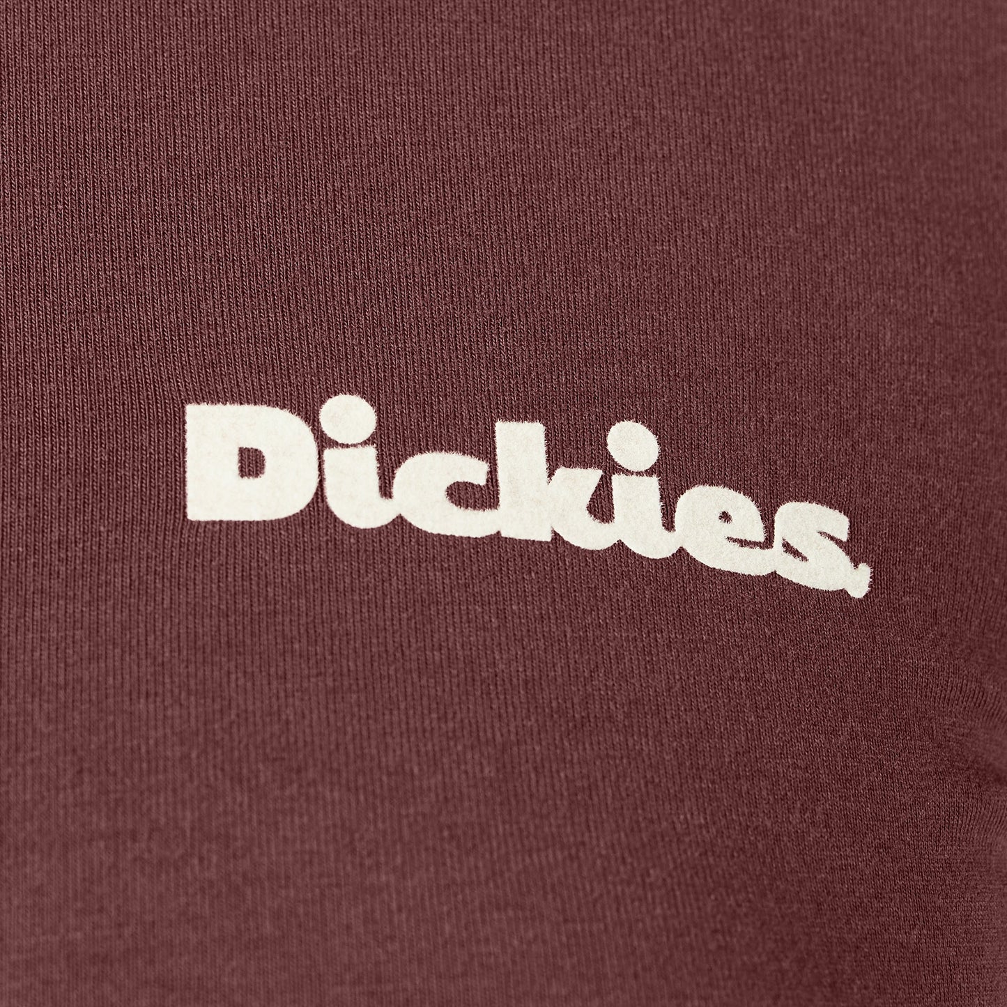 Dickies Women's Slayden Ringer Tee