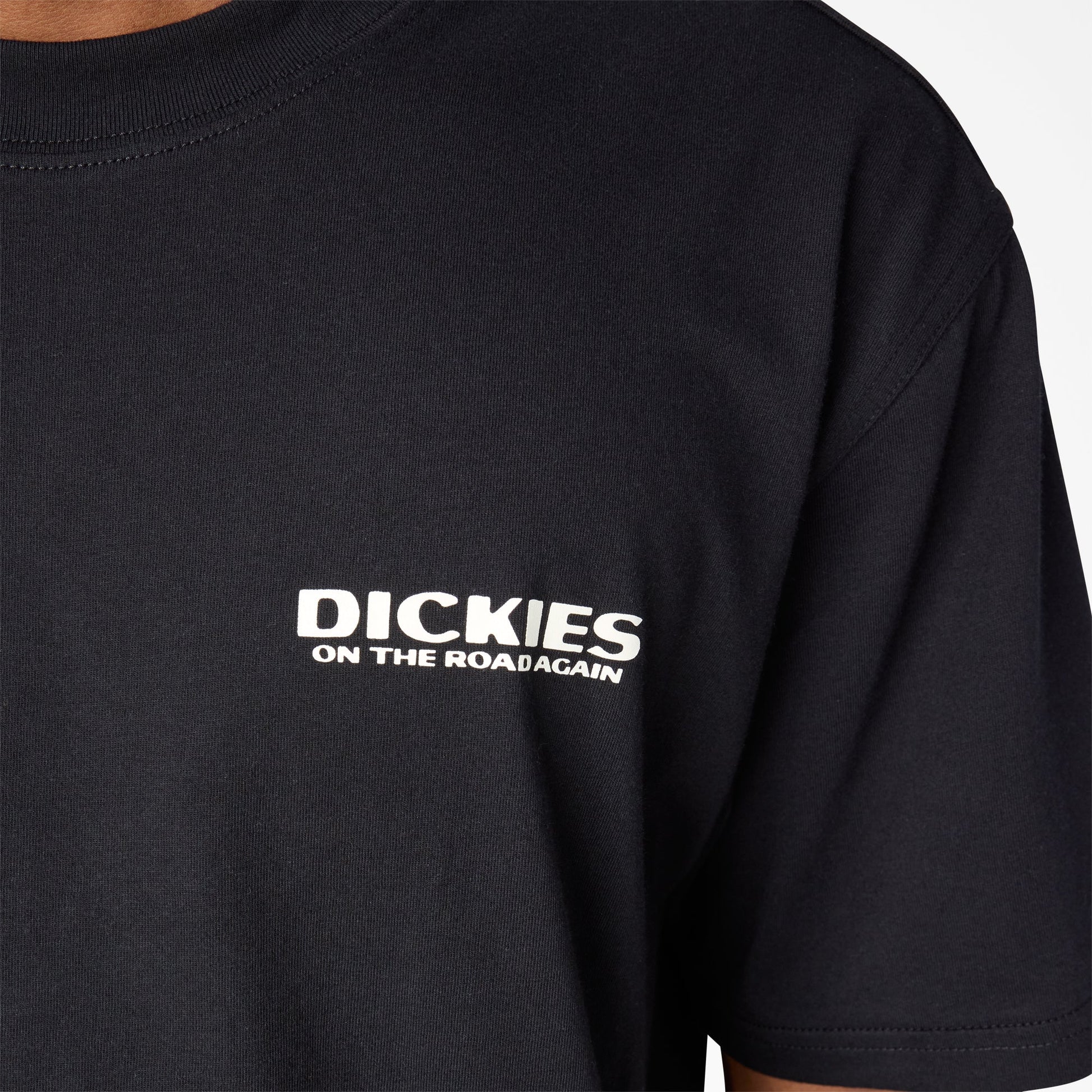 Dickies Burns Graphic T-Shirt