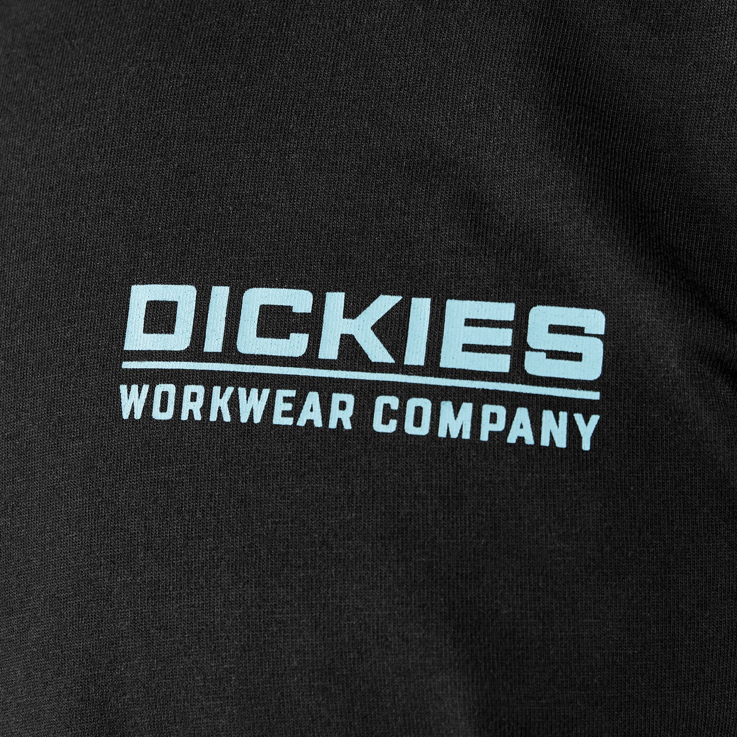Dickies Bolivar Graphic T-Shirt