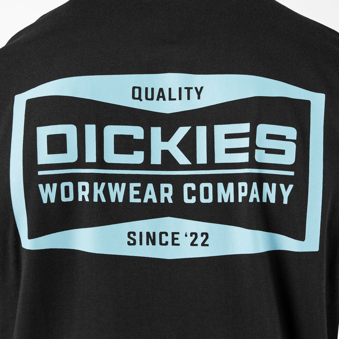 Dickies Bolivar Graphic T-Shirt
