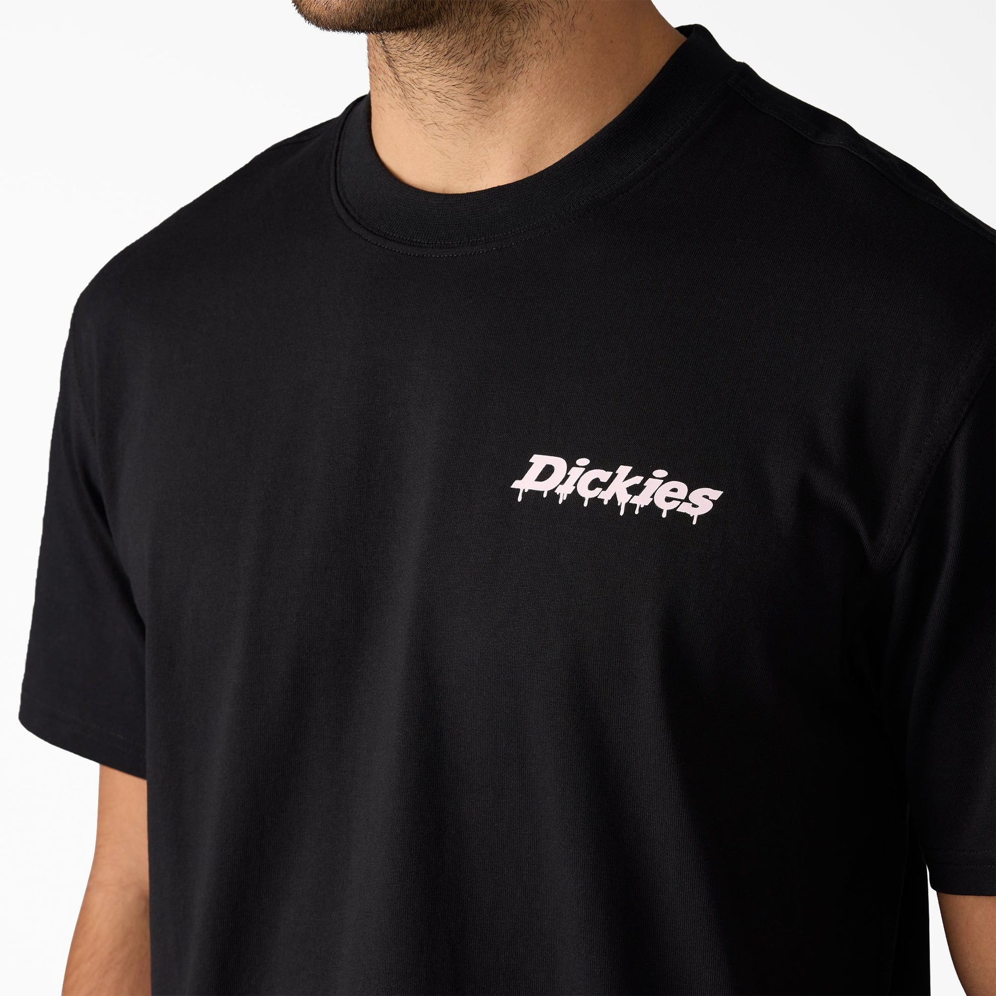 Dickies Statesville Graphic T-Shirt