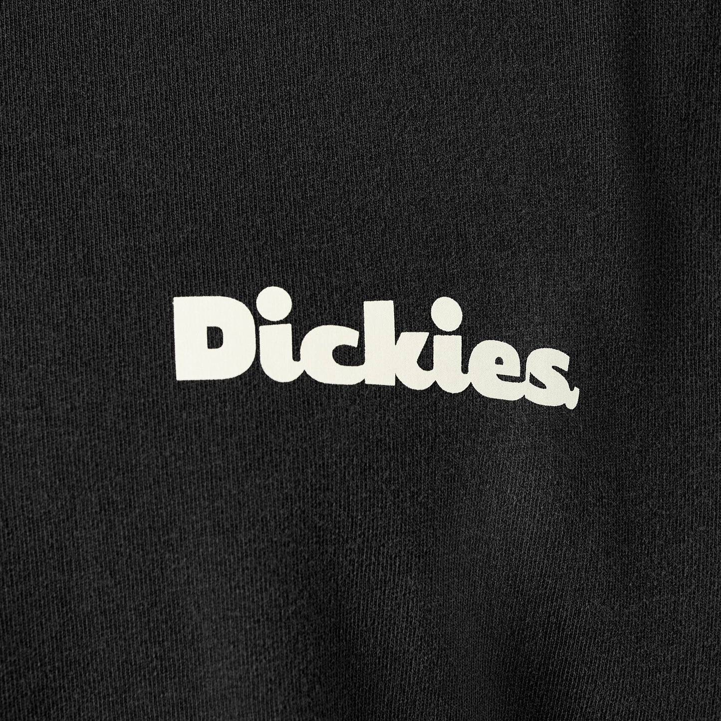 Dickies Slayden Garment Dyed T-Shirt