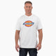White (WH)