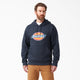 Dark Navy (DN)