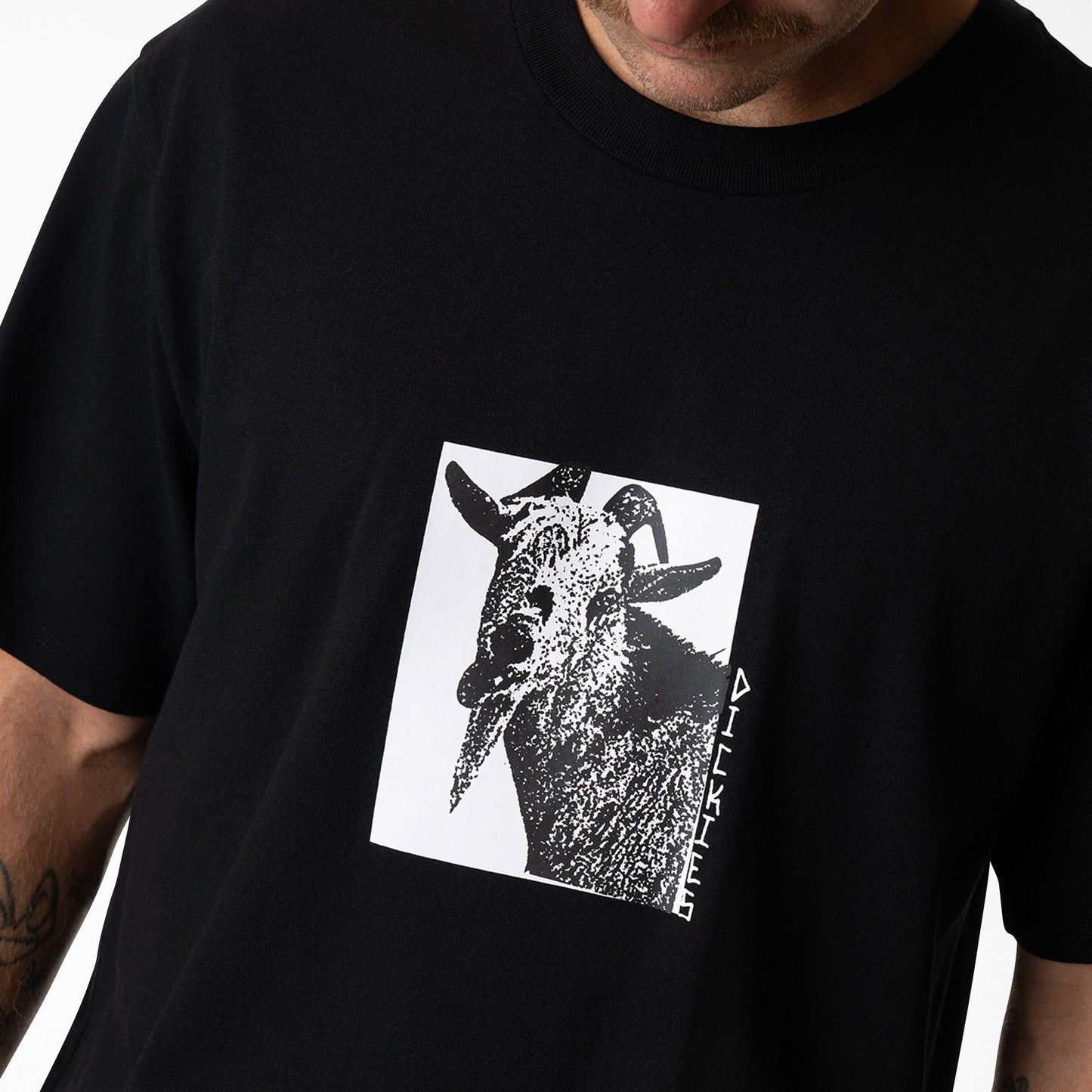 Dickies Mike Anderson Graphic T-Shirt