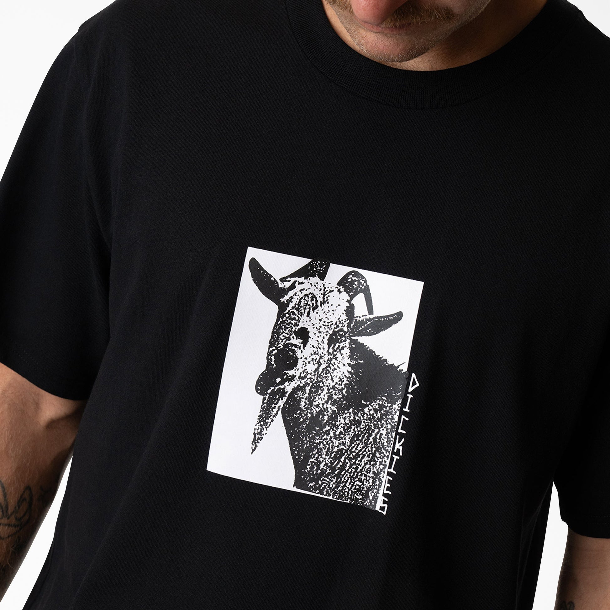 Dickies Mike Anderson Graphic T-Shirt