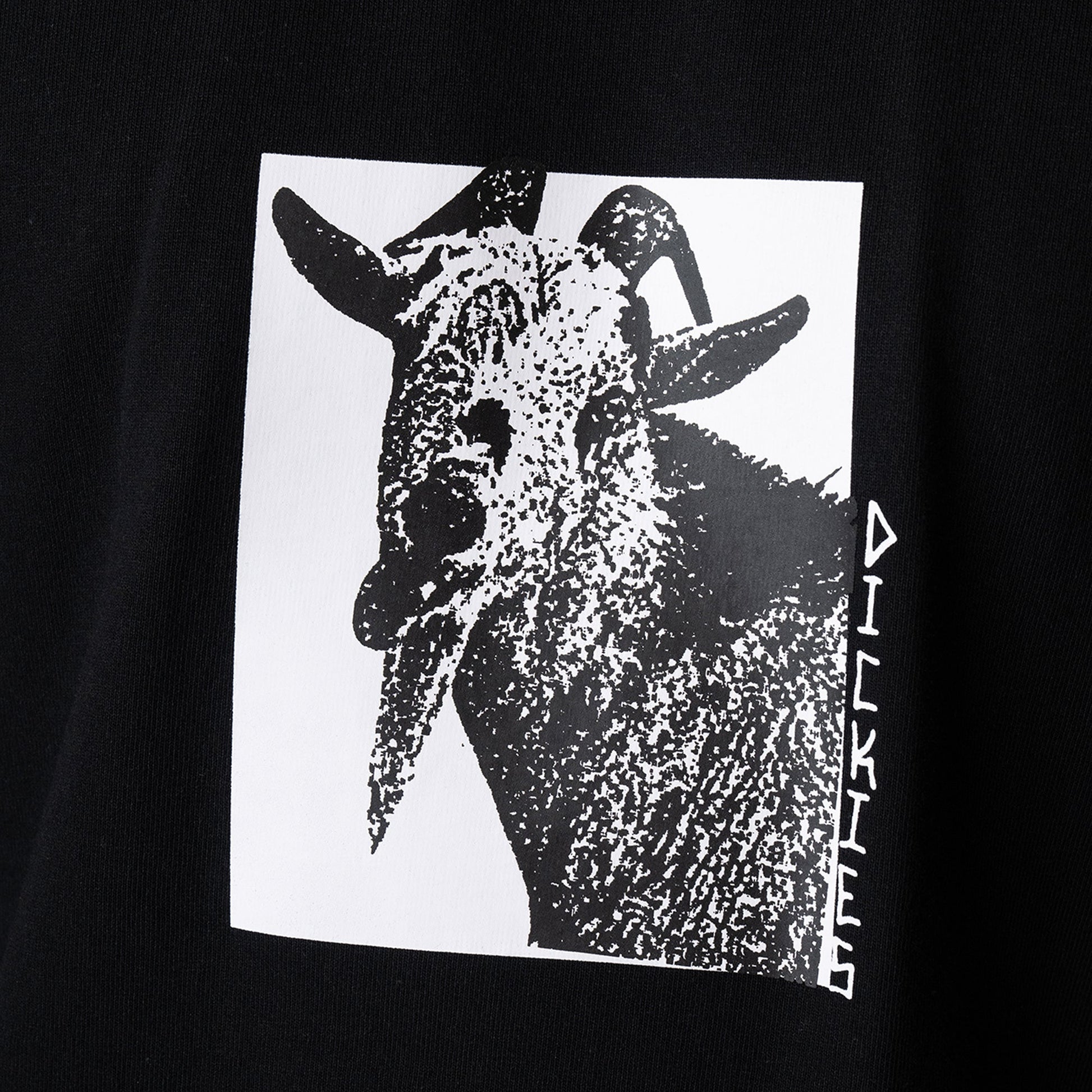 Dickies Mike Anderson Graphic T-Shirt