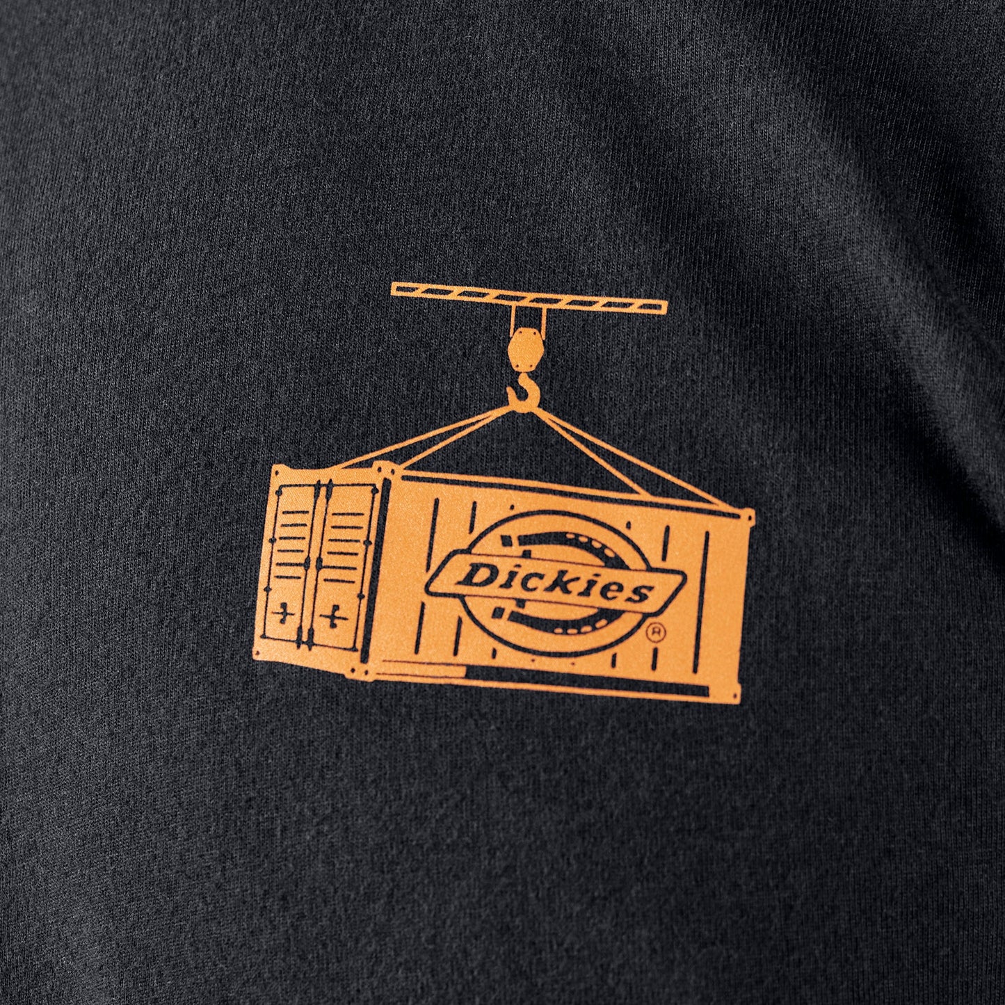 Dickies Apison Graphic T-Shirt