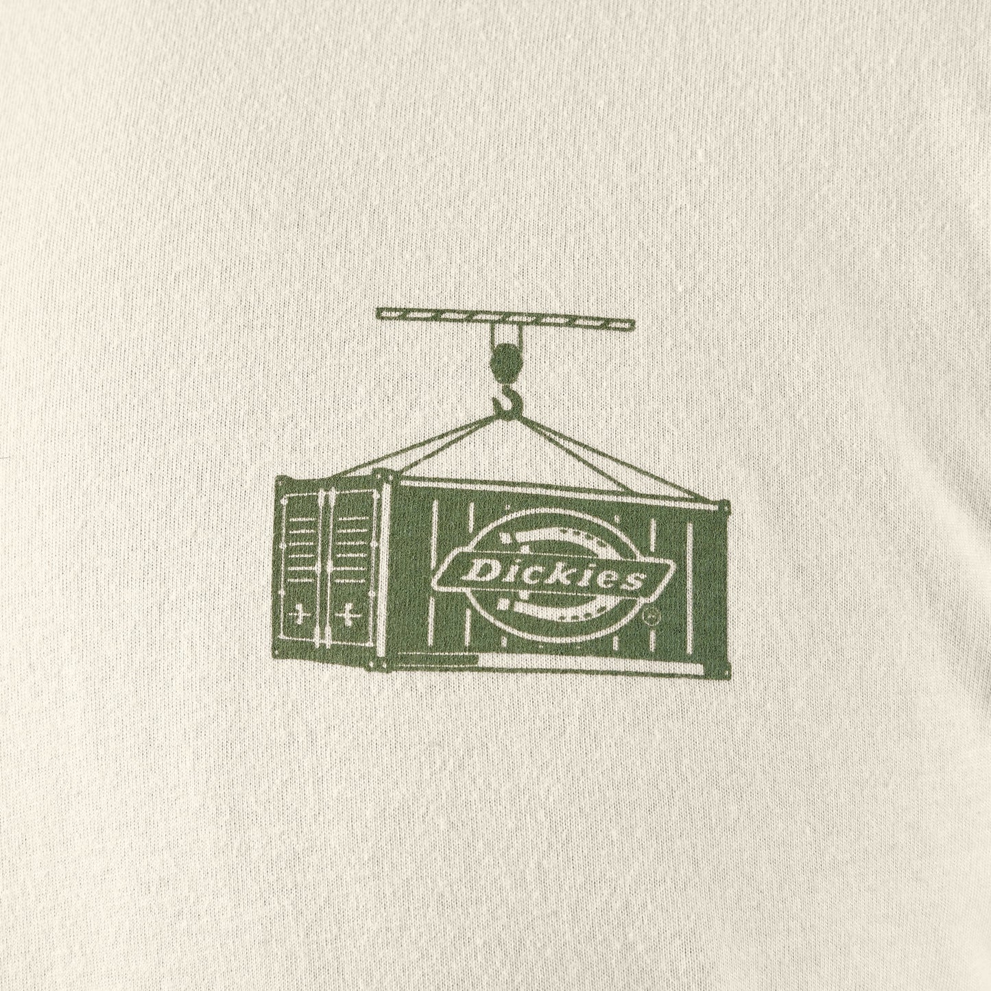 Dickies Apison Graphic T-Shirt