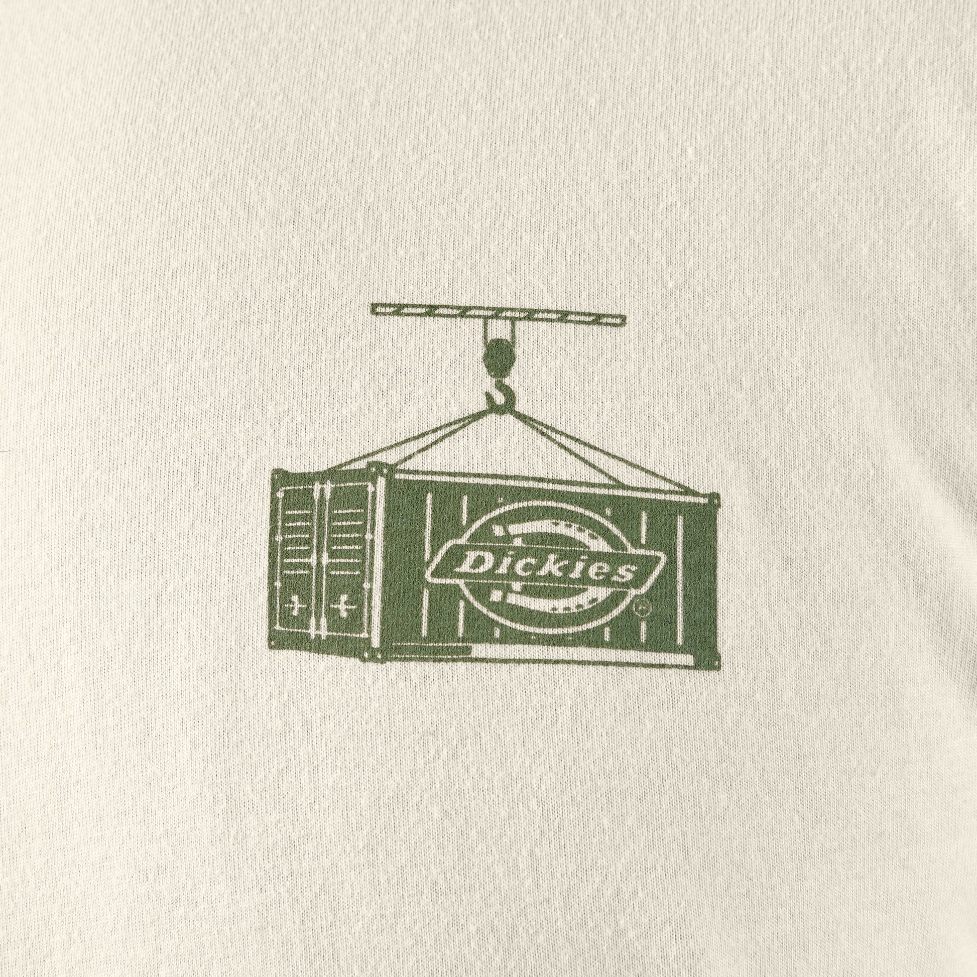 Dickies Apison Graphic T-Shirt