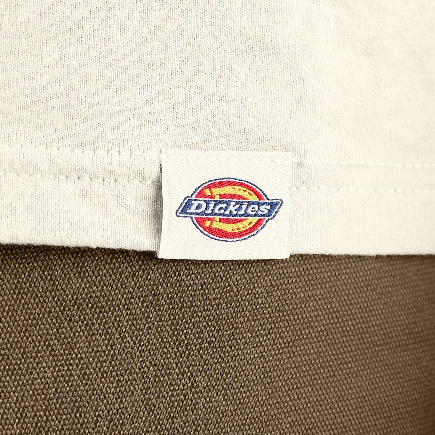 Dickies Apison Graphic T-Shirt