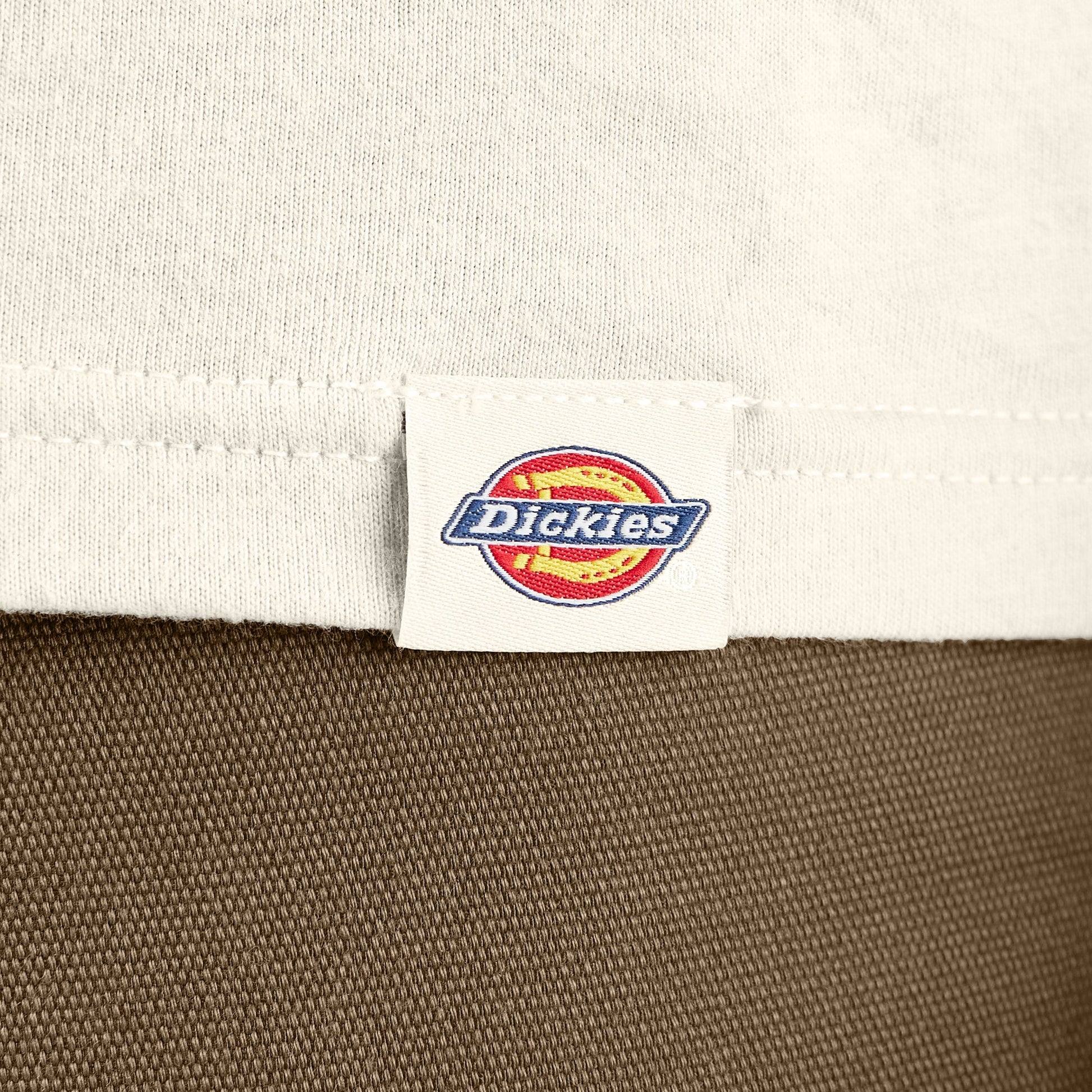 Dickies Apison Graphic T-Shirt