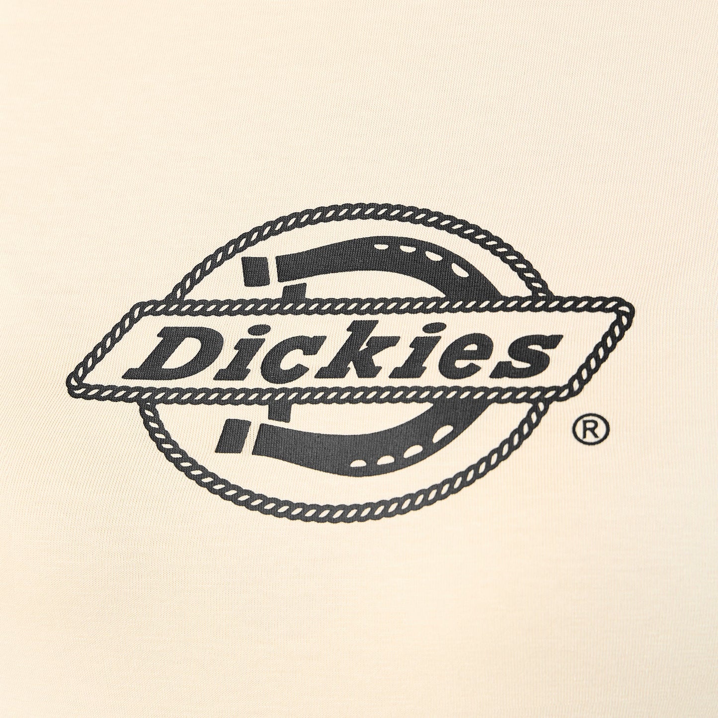 Dickies Women's Fort Shaw Raglan T-Shirt