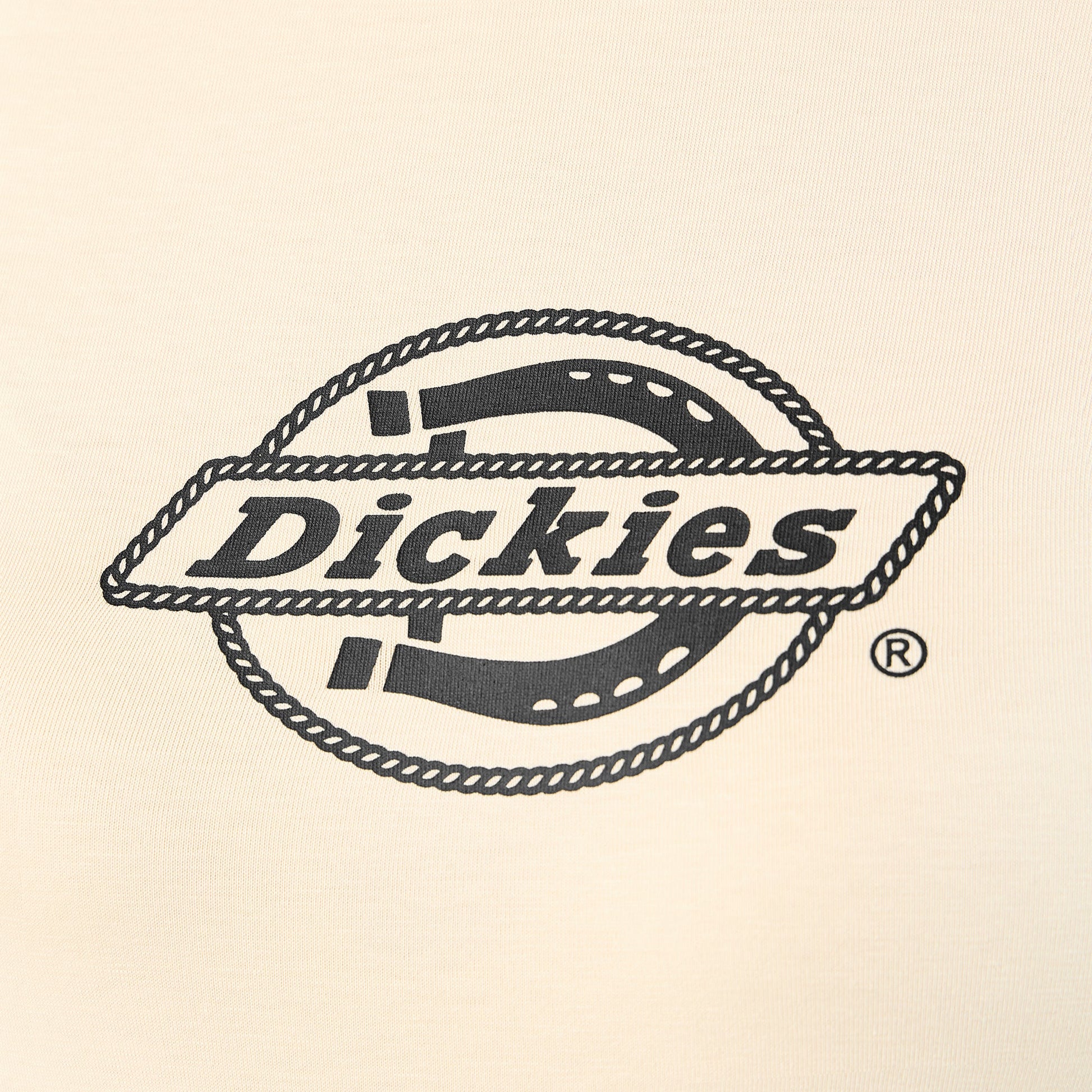 Dickies Women's Fort Shaw Raglan T-Shirt