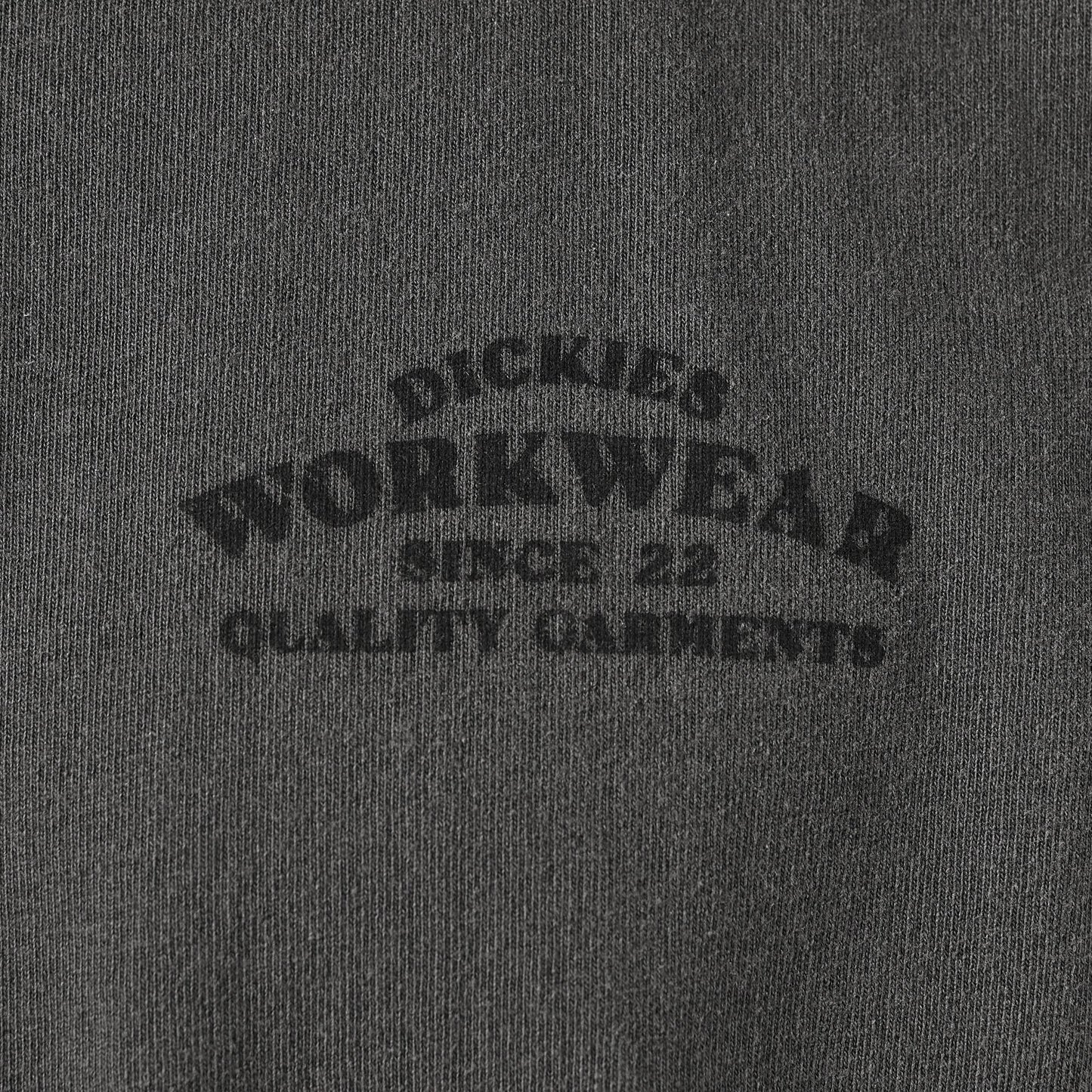 Dickies Christiana T-shirt