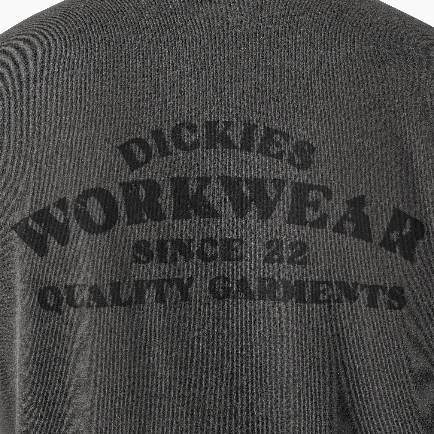 Dickies Christiana T-shirt