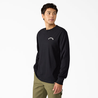 Dickies Colonel Long Sleeve Graphic T-Shirt