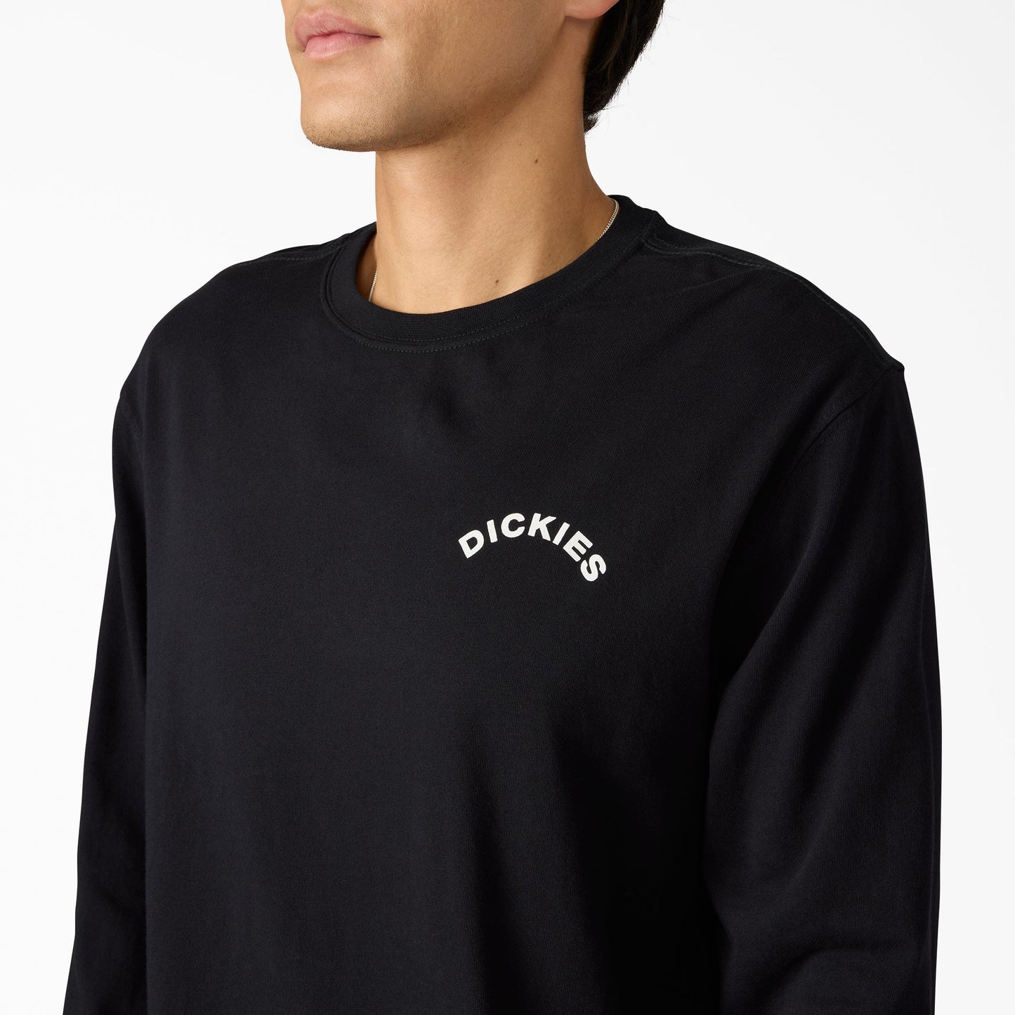 Dickies Colonel Long Sleeve Graphic T-Shirt