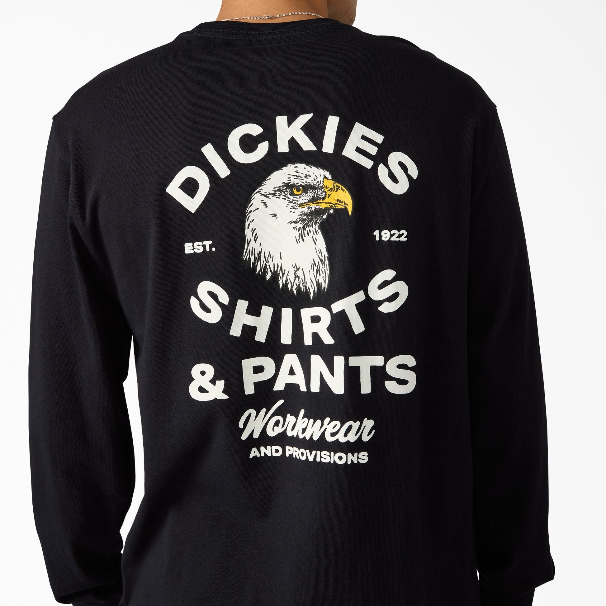 Dickies Colonel Long Sleeve Graphic T-Shirt