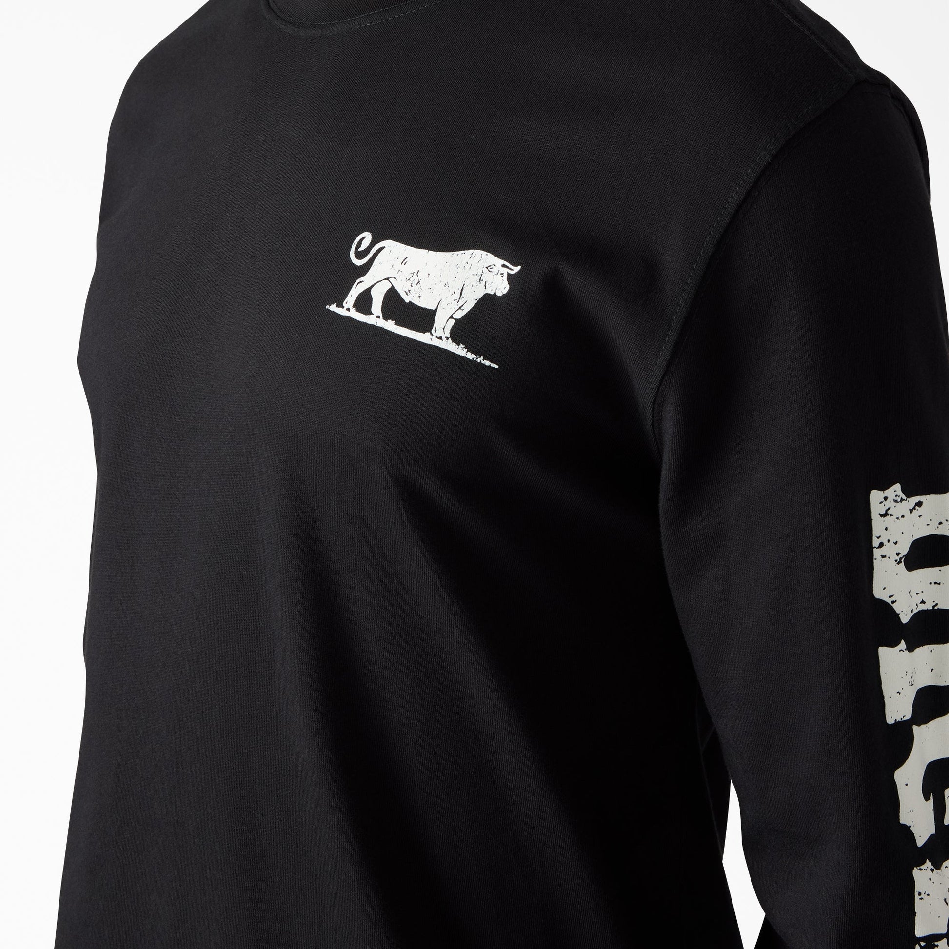 Dickies Headstrong Long Sleeve Graphic T-Shirt
